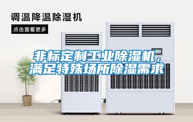 非标定制工业91香蕉视频下载网站，满足特殊场所除湿需求