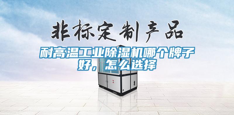 耐高温工业91香蕉视频下载网站哪个牌子好，怎么选择