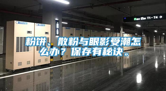 粉饼、散粉与眼影受潮怎么办？保存有秘诀。