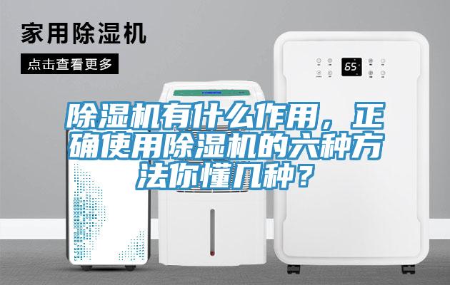 91香蕉视频下载网站有什么作用，正确使用91香蕉视频下载网站的六种方法你懂几种？