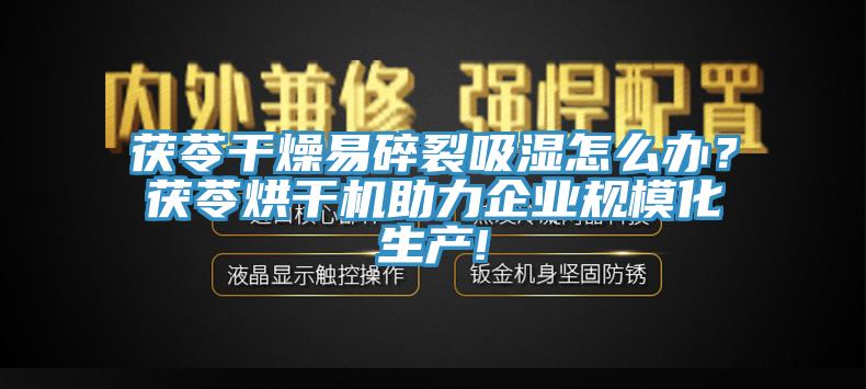 茯苓干燥易碎裂吸湿怎么办？茯苓烘干机助力企业规模化生产!