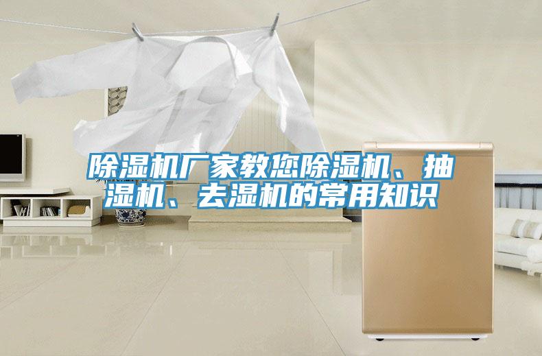 91香蕉视频下载网站厂家教您91香蕉视频下载网站、抽湿机、去湿机的常用知识