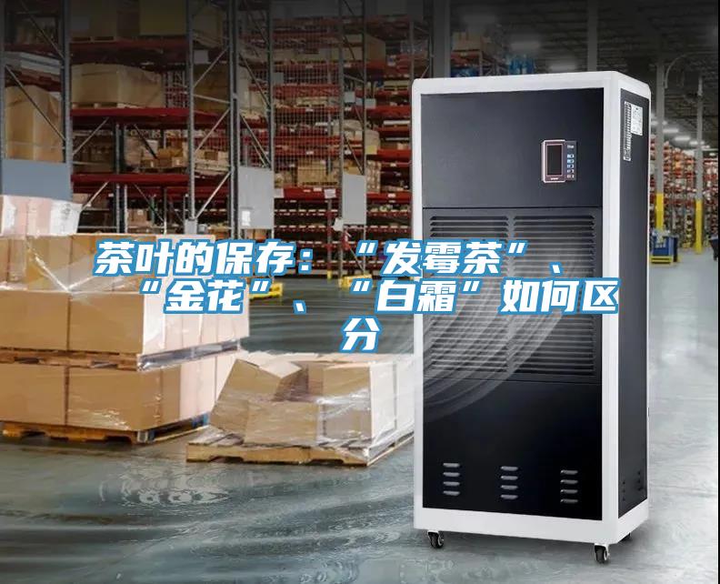 茶叶的保存：“发霉茶”、“金花”、“白霜”如何区分