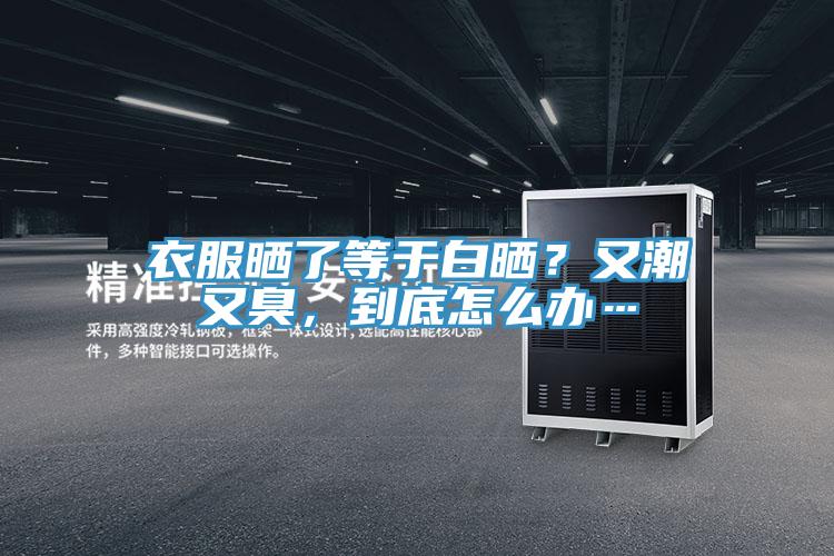 衣服晒了等于白晒？又潮又臭，到底怎么办…