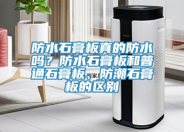 防水石膏板真的防水吗？防水石膏板和普通石膏板、防潮石膏板的区别