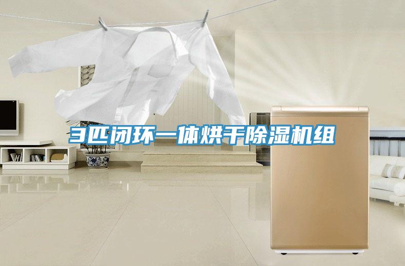 3匹闭环一体烘干91香蕉视频下载网站组