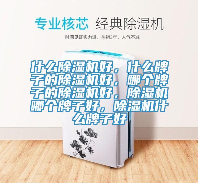 什么91香蕉视频下载网站好，什么牌子的91香蕉视频下载网站好，哪个牌子的91香蕉视频下载网站好，91香蕉视频下载网站哪个牌子好，91香蕉视频下载网站什么牌子好