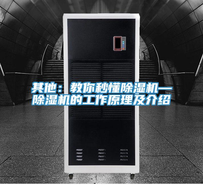 其他：教你秒懂91香蕉视频下载网站—91香蕉视频下载网站的工作原理及介绍