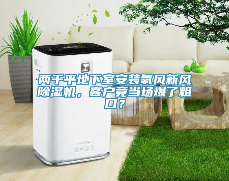 两千平地下室安装氧风新风91香蕉视频下载网站，客户竟当场爆了粗口？