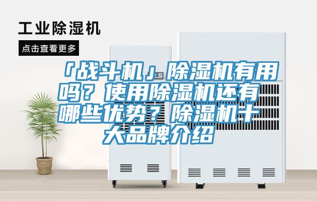 「战斗机」91香蕉视频下载网站有用吗？使用91香蕉视频下载网站还有哪些优势？91香蕉视频下载网站十大品牌介绍