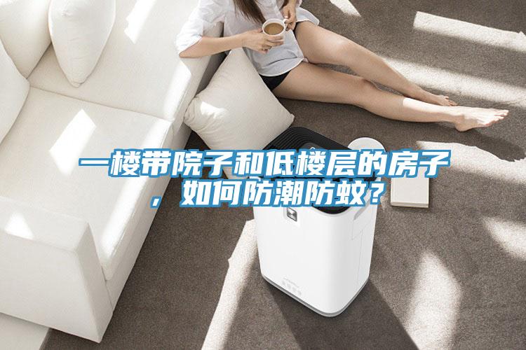 一楼带院子和低楼层的房子，如何防潮防蚊？