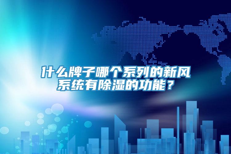 什么牌子哪个系列的新风系统有除湿的功能？