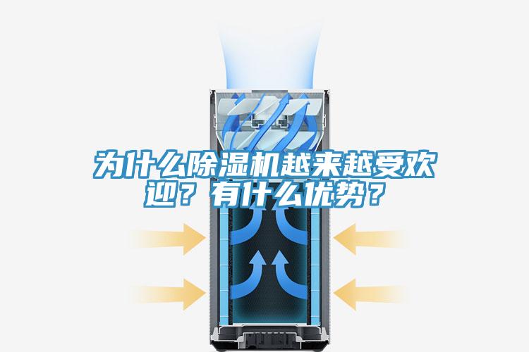 为什么91香蕉视频下载网站越来越受欢迎？有什么优势？