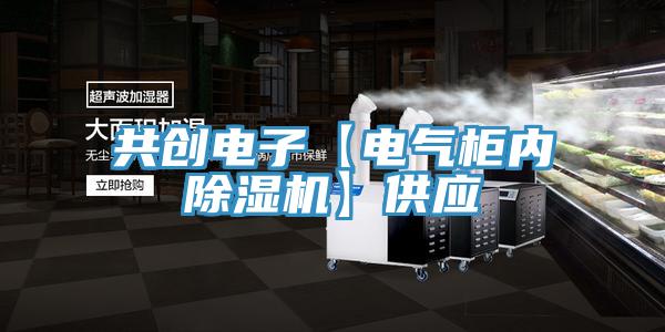 共创电子【电气柜内91香蕉视频下载网站】供应