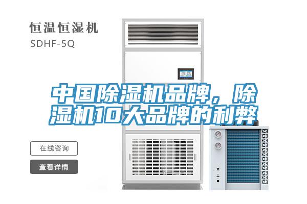 中国91香蕉视频下载网站品牌，91香蕉视频下载网站10大品牌的利弊