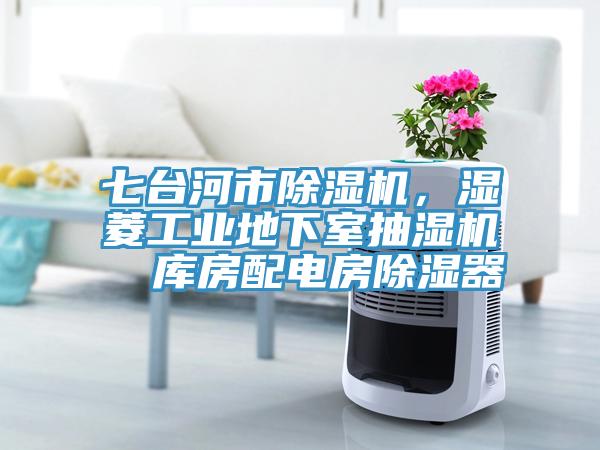 七台河市91香蕉视频下载网站，湿菱工业地下室抽湿机  库房配电房除湿器