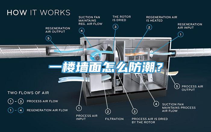 一楼墙面怎么防潮？