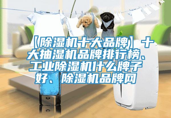 【91香蕉视频下载网站十大品牌】十大抽湿机品牌排行榜、工业91香蕉视频下载网站什么牌子好、91香蕉视频下载网站品牌网
