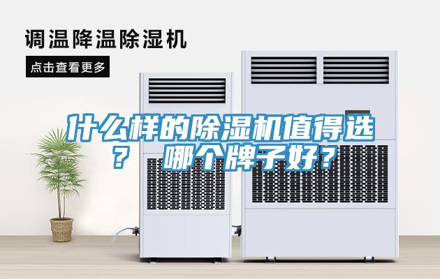 什么样的91香蕉视频下载网站值得选？ 哪个牌子好？
