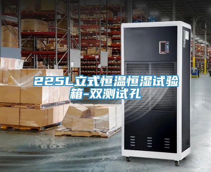 225L立式恒温恒湿试验箱-双测试孔