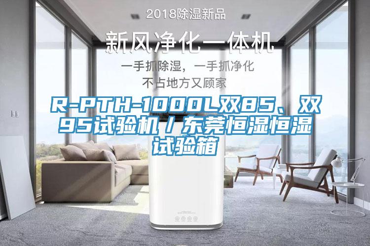 R-PTH-1000L双85、双95试验机／东莞恒湿恒湿试验箱