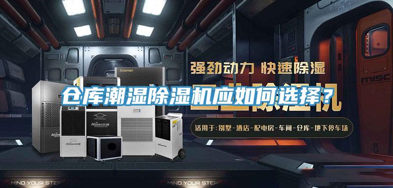 仓库潮湿91香蕉视频下载网站应如何选择？