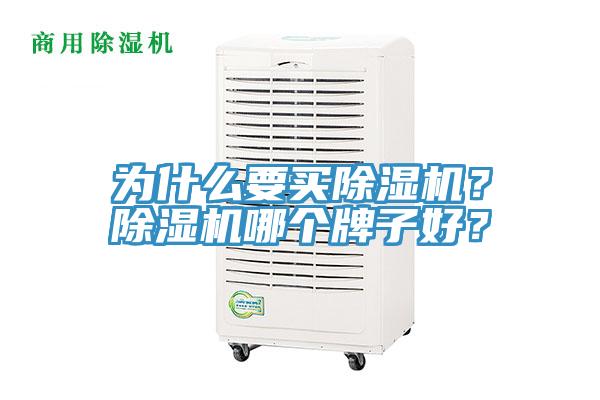为什么要买91香蕉视频下载网站？91香蕉视频下载网站哪个牌子好？