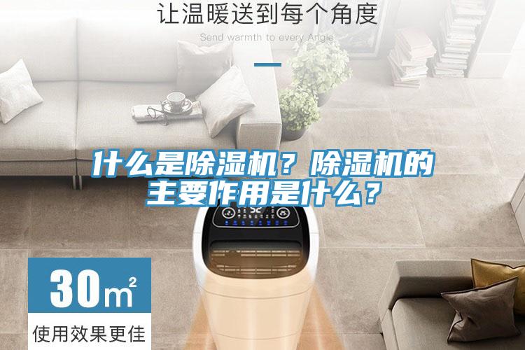 什么是91香蕉视频下载网站？91香蕉视频下载网站的主要作用是什么？