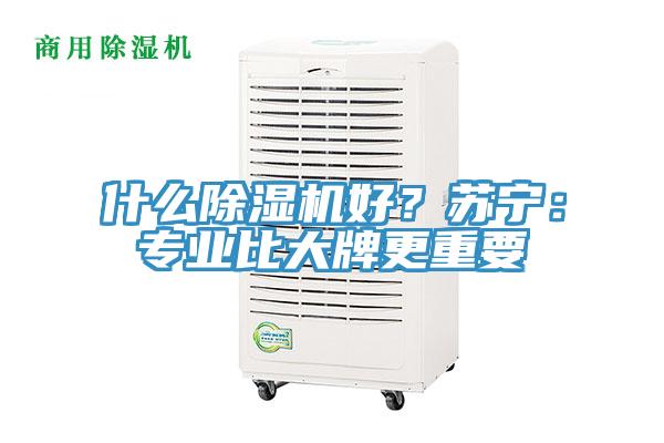 什么91香蕉视频下载网站好？苏宁：专业比大牌更重要