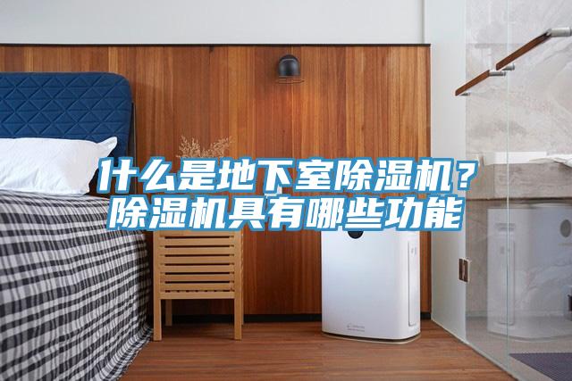 什么是地下室91香蕉视频下载网站？91香蕉视频下载网站具有哪些功能