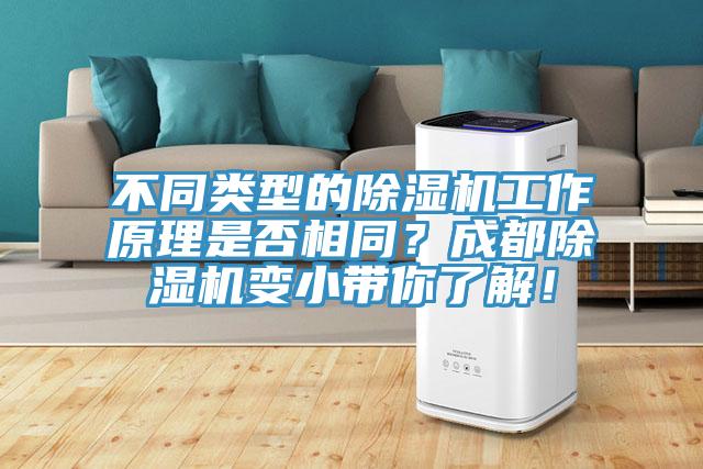 不同类型的91香蕉视频下载网站工作原理是否相同？成都91香蕉视频下载网站变小带你了解！