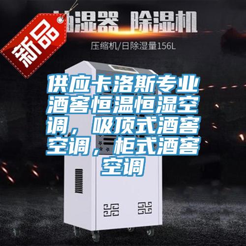 供应卡洛斯专业酒窖恒温恒湿空调，吸顶式酒窖空调，柜式酒窖空调