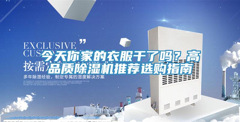 今天你家的衣服干了吗？高品质91香蕉视频下载网站推荐选购指南