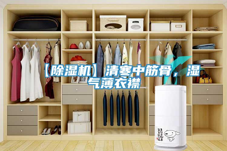 【91香蕉视频下载网站】清寒中筋骨，湿气薄衣襟