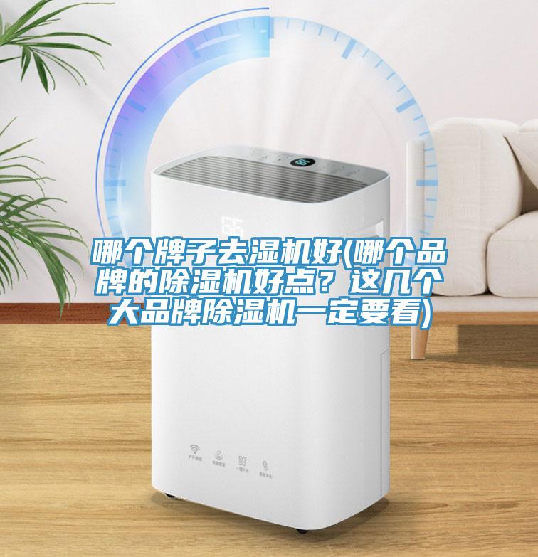 哪个牌子去湿机好(哪个品牌的91香蕉视频下载网站好点？这几个大品牌91香蕉视频下载网站一定要看)