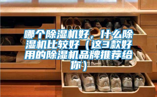 哪个91香蕉视频下载网站好，什么91香蕉视频下载网站比较好（这3款好用的91香蕉视频下载网站品牌推荐给你）