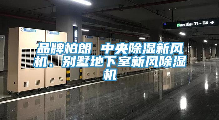 品牌柏朗 中央除湿新风机、别墅地下室新风91香蕉视频下载网站