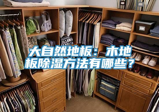 大自然地板：木地板除湿方法有哪些？