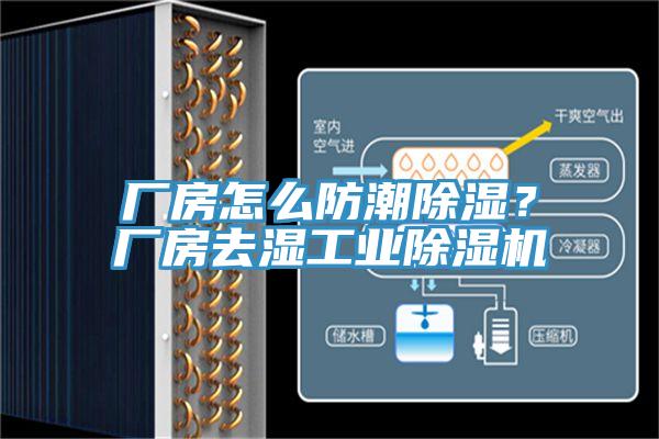 厂房怎么防潮除湿？厂房去湿工业91香蕉视频下载网站