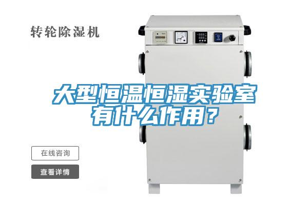 大型恒温恒湿实验室有什么作用？