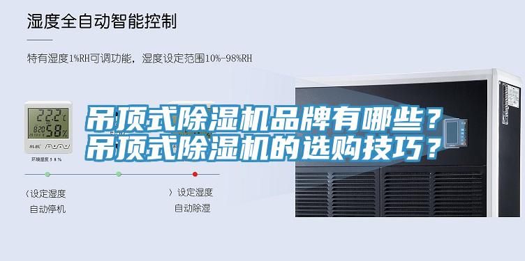 吊顶式91香蕉视频下载网站品牌有哪些？吊顶式91香蕉视频下载网站的选购技巧？