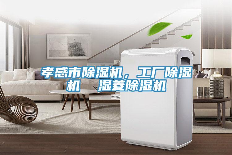 孝感市91香蕉视频下载网站，工厂91香蕉视频下载网站  湿菱91香蕉视频下载网站