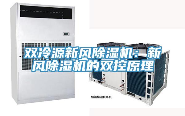 双冷源新风91香蕉视频下载网站：新风91香蕉视频下载网站的双控原理