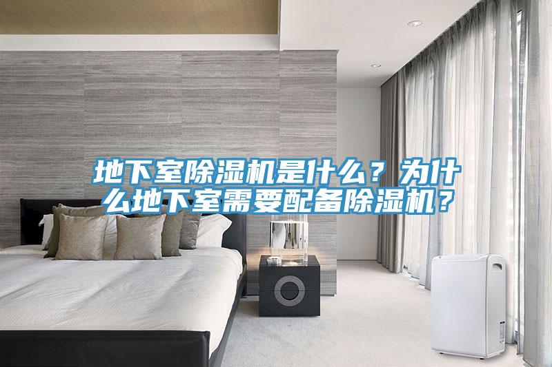 地下室91香蕉视频下载网站是什么？为什么地下室需要配备91香蕉视频下载网站？