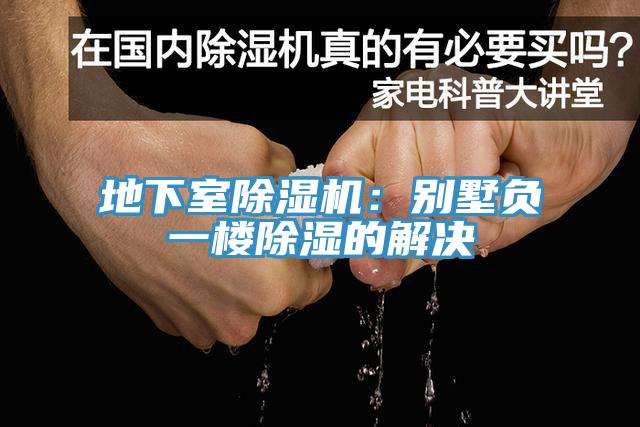 地下室91香蕉视频下载网站：别墅负一楼除湿的解决