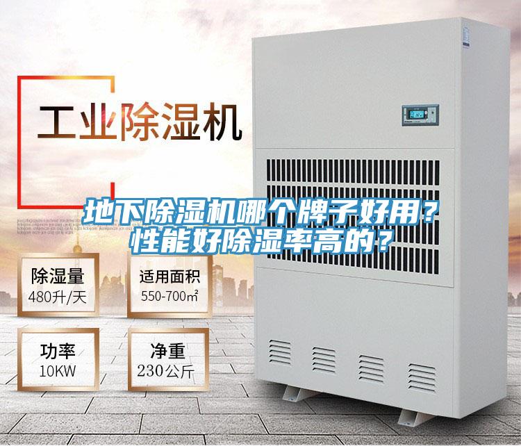 地下91香蕉视频下载网站哪个牌子好用？性能好除湿率高的？