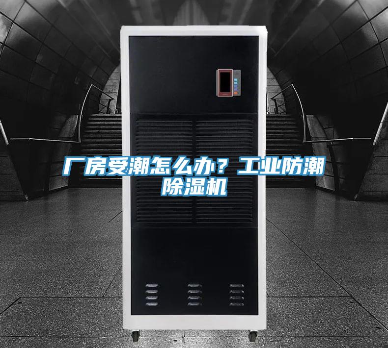 厂房受潮怎么办？工业防潮91香蕉视频下载网站
