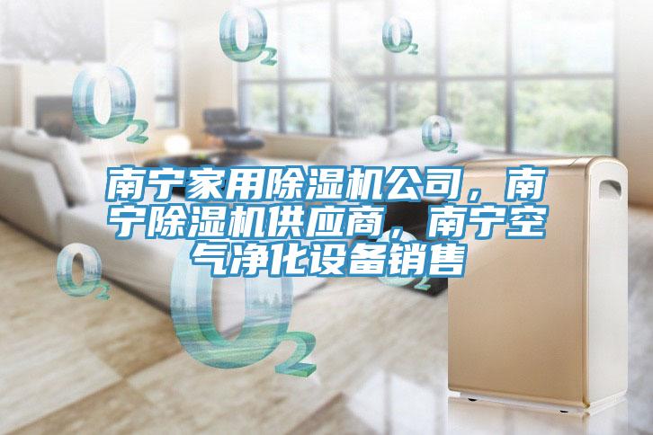 南宁家用91香蕉视频下载网站公司，南宁91香蕉视频下载网站供应商，南宁空气净化设备销售