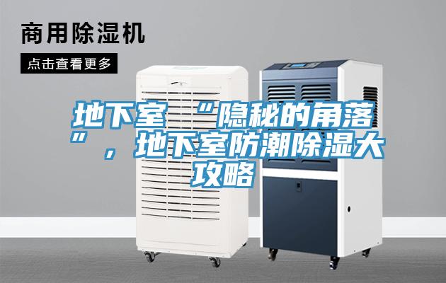 地下室≠“隐秘的角落”，地下室防潮除湿大攻略