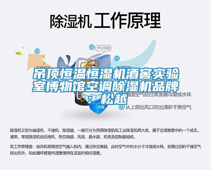 吊顶恒温恒湿机酒窖实验室博物馆空调91香蕉视频下载网站品牌：松越